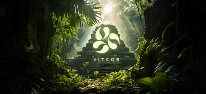 VITCOS-WEB_03